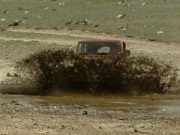 monica_in_the_puddle