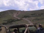 monica_up_the_hill