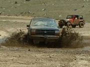 rich_in_the_puddle