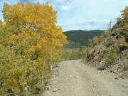 aspens_on_the_trail