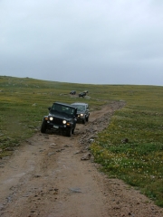 everyone_on_the_trail