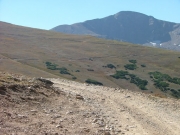 long_trail