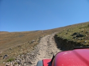 shelf_road