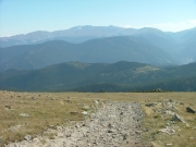 trail_in_scenery