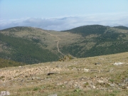 yankee_hill