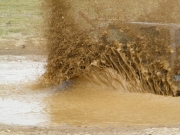 brian_in_the_puddle_part_3