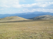 tundra