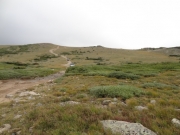 down_the_hill