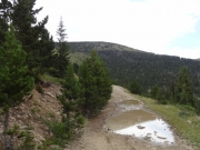 puddle