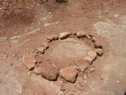 dinosaur_footprint_1