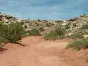 mellow_trail