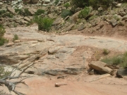 optional_obstacle_part_2