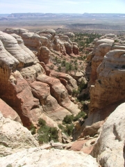 view_from_the_top_part_4
