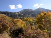 aspens_and_mount_tukuhnikivatz