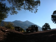 in_the_pines