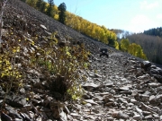 roger_on_talus