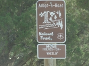 adopted