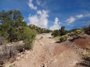 climbing
