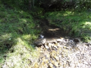 creek