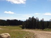 near_timberline