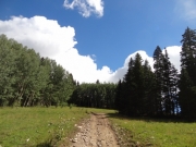 open_space