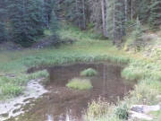 pond