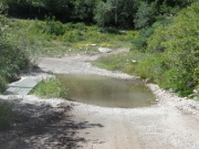 puddle