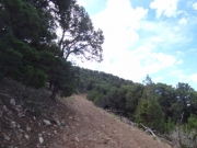 side_of_a_hill