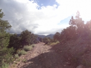 start_of_the_trail