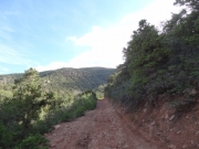 trail_ahead