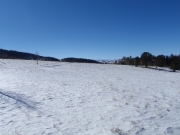 snow_field