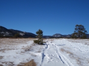 trail_part_1