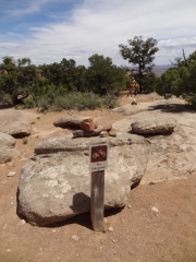 china_neck_trailhead