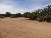golden_stairs_campground_part_3