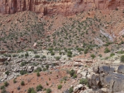 jeeps_up_the_hill
