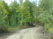 aspens_part_5