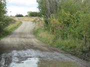 muddy