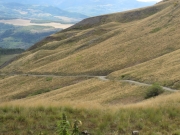 trail_ahead