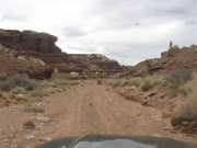 bob_in_the_distance