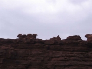 bumpy_skyline