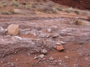 river_rocks