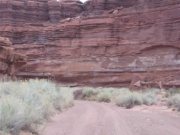 road_at_the_bottom