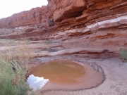 puddle