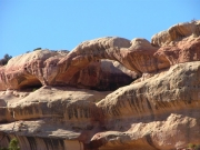 caterpillar_arch