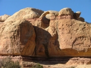 hand_hold_arch