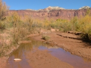 lavender_creek