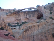 long_arch