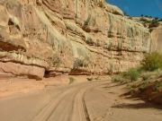 sandy