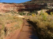 trail_past_the_locked_gate