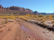 water_on_the_trail